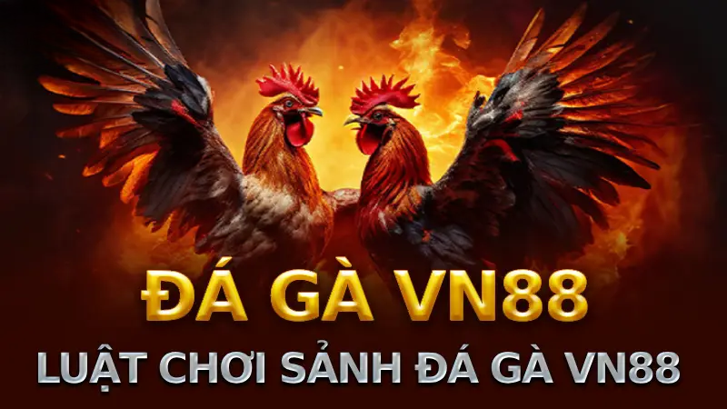 Đá Gà VN88 – Sân Chơi Hấp Dẫn Cho Người Đam Mê Kịch Tính